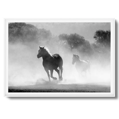 Wild Gallop Framed Art