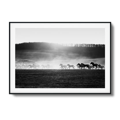 Wild Horse Stampede Framed Art - Assure Spark