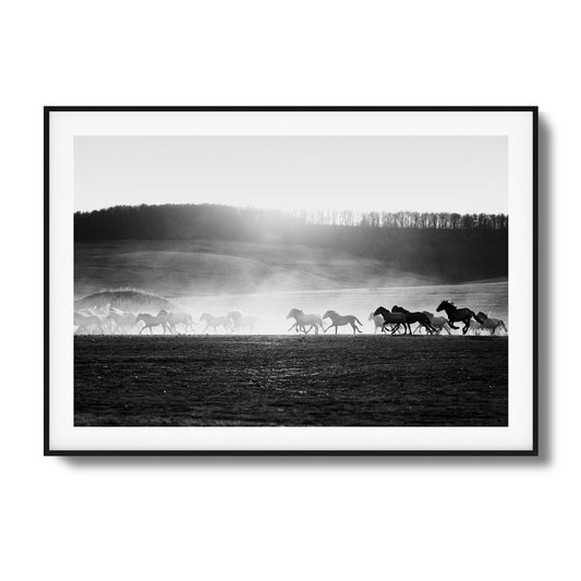 Wild Horse Stampede Framed Art - Assure Spark