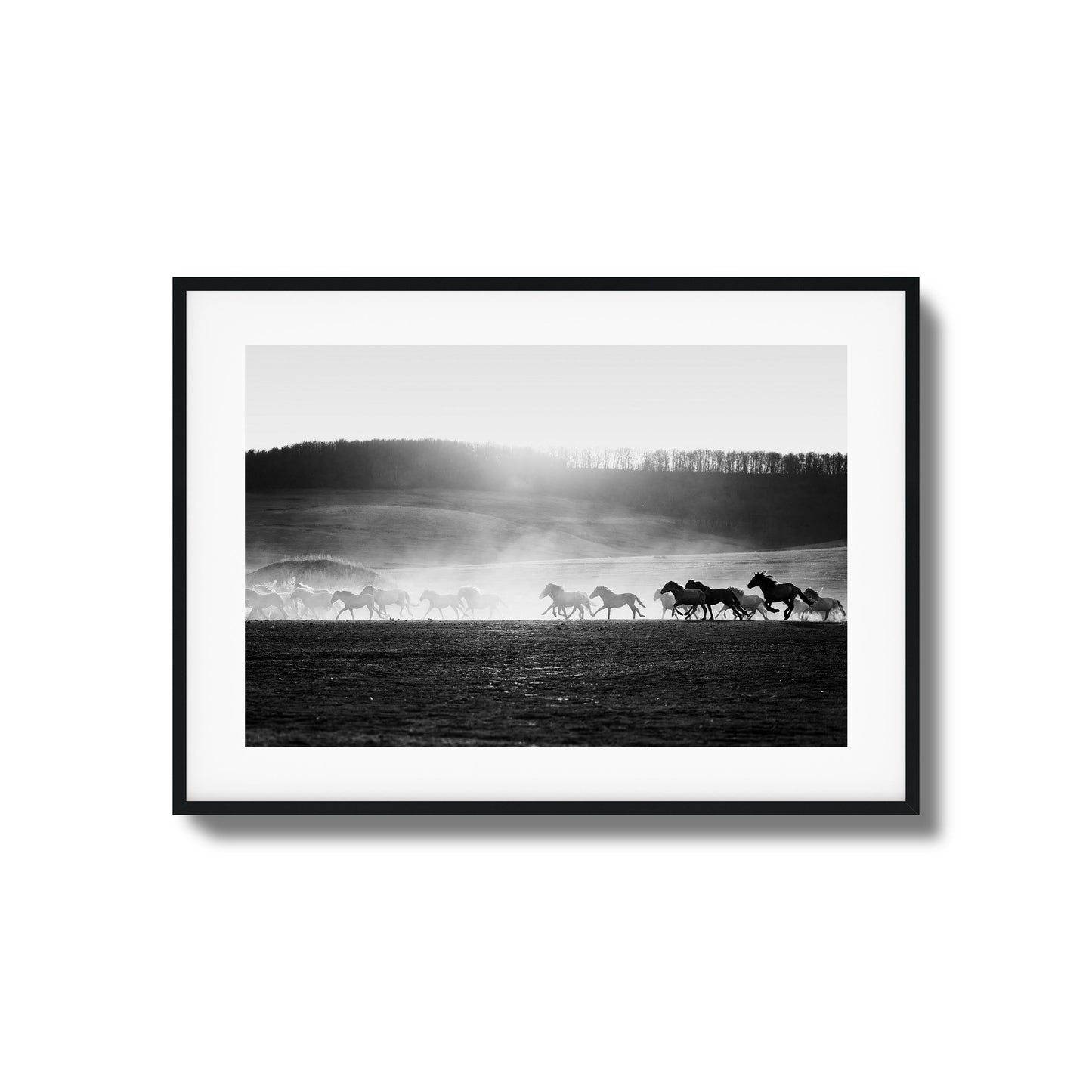 Wild Horse Stampede Framed Art