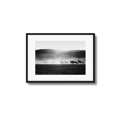 Wild Horse Stampede Framed Art