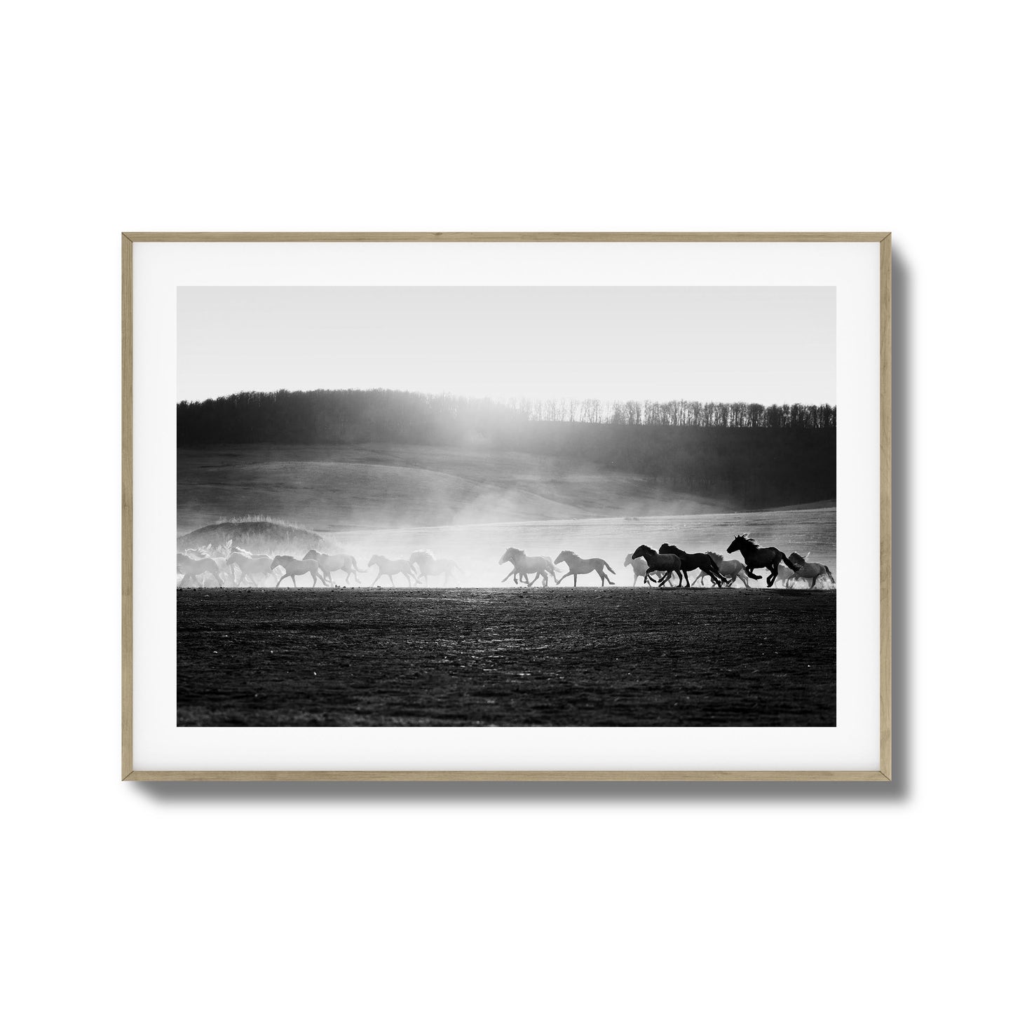 Wild Horse Stampede Framed Art