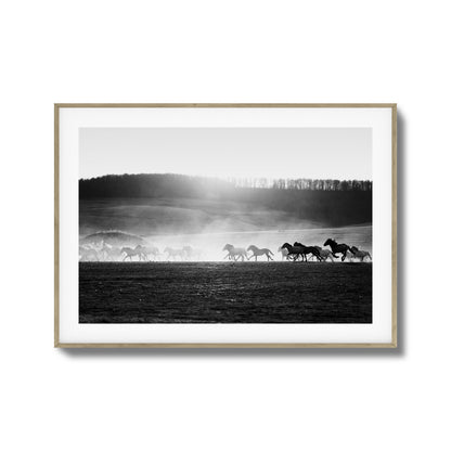 Wild Horse Stampede Framed Art