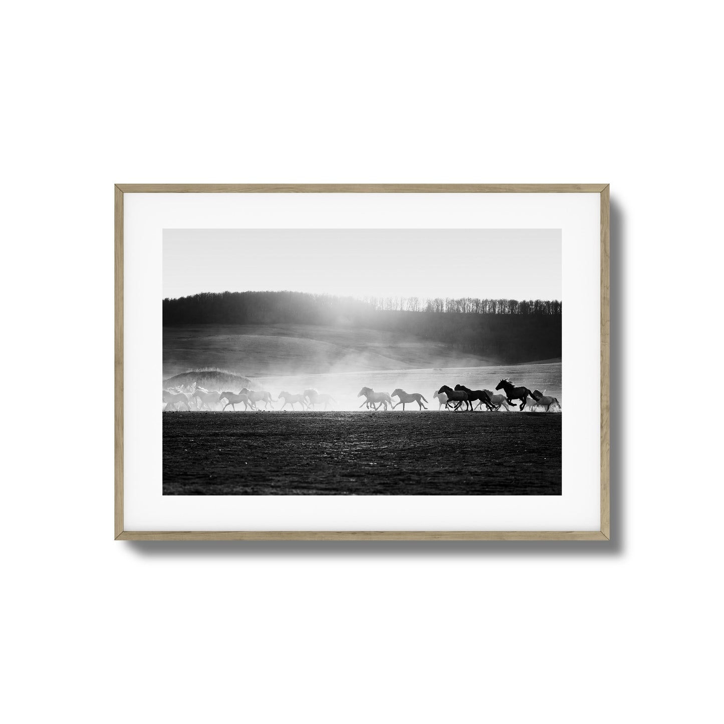 Wild Horse Stampede Framed Art