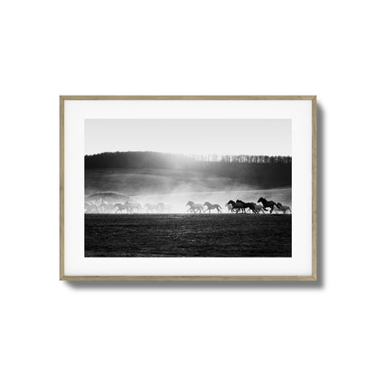 Wild Horse Stampede Framed Art