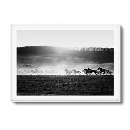 Wild Horse Stampede Framed Art