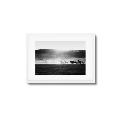 Wild Horse Stampede Framed Art