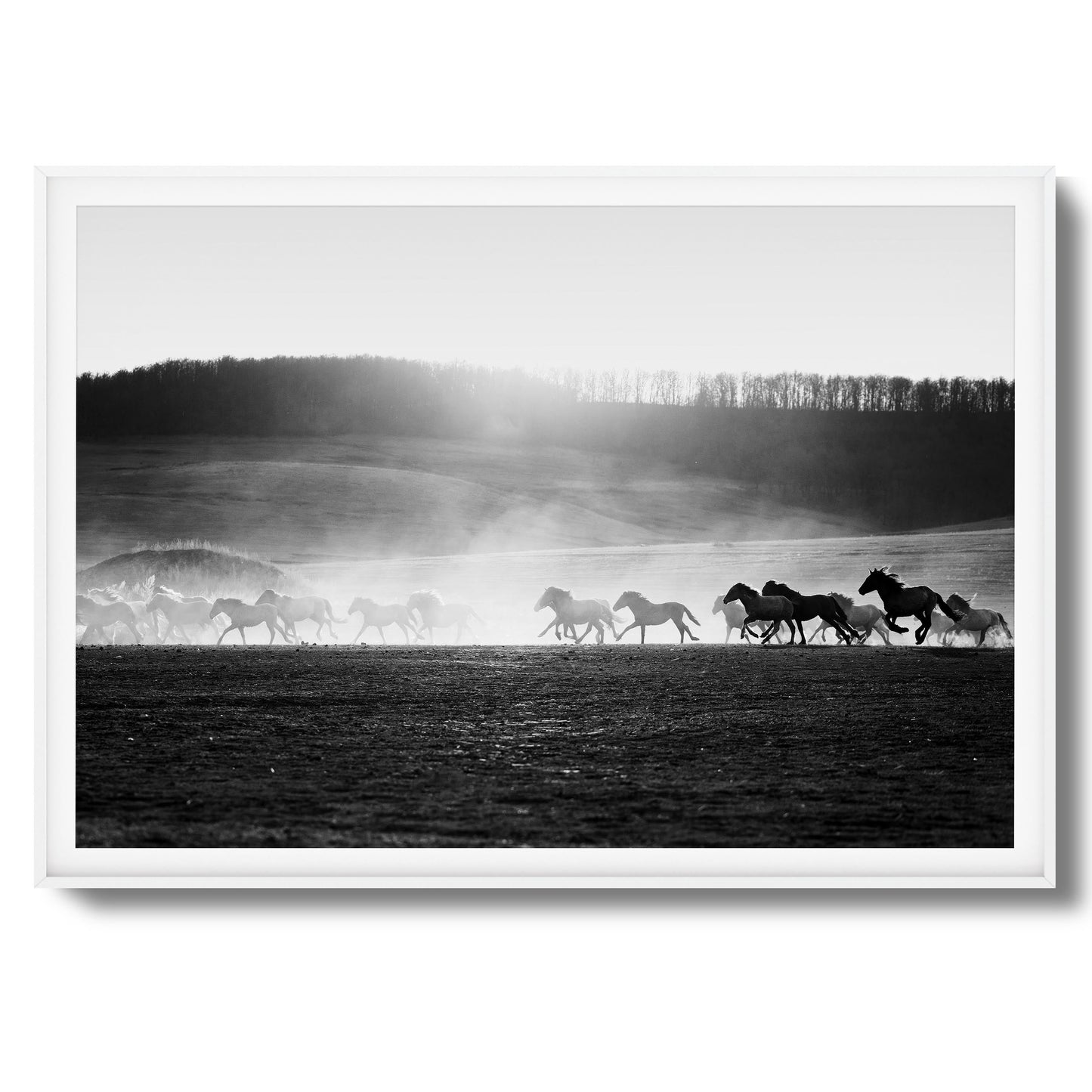 Wild Horse Stampede Framed Art