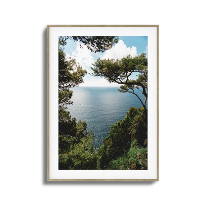 Window to Tranquility Framed Art