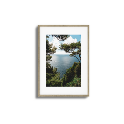 Window to Tranquility Framed Art