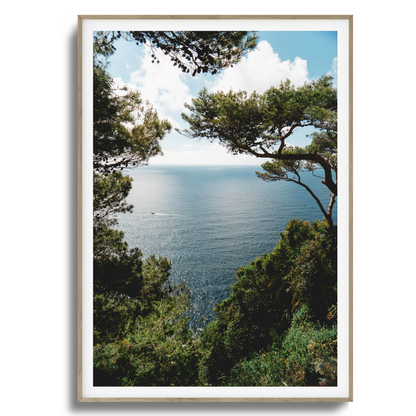 Window to Tranquility Framed Art