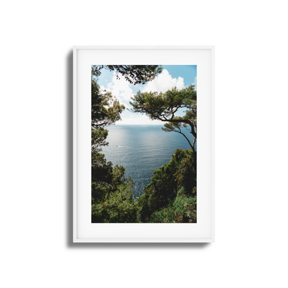 Window to Tranquility Framed Art