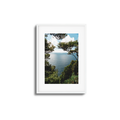 Window to Tranquility Framed Art