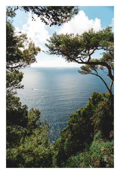 Window to Tranquility Framed Art